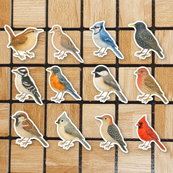 Watercolor Bird Sticker Pack of 12 Vinyl Stickers Waterproof Die Cut Sticker Set - Picture 1 of 4